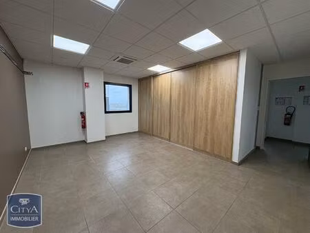 location local professionnel la chapelle de guinchay 71570