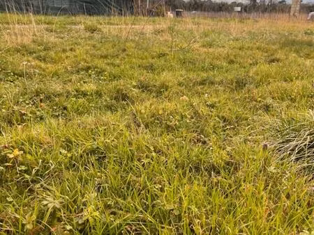 terrain à bâtir à latresne (33360)