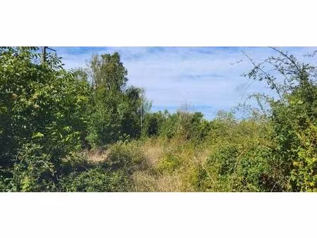 terrain constructible à vendre