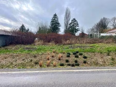 terrain constructible viabilisé à vendre