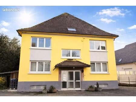 immeuble 335 m² haguenau