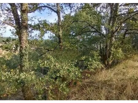 terrain 4 087 m² castres