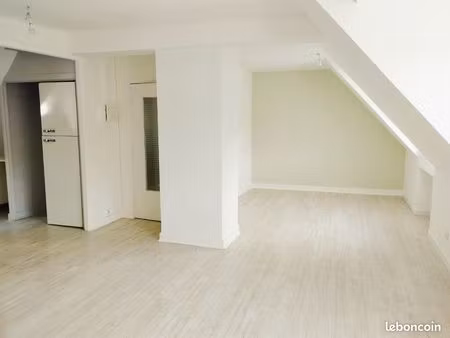 appartement spacieux 70m au sol style loft plein centre