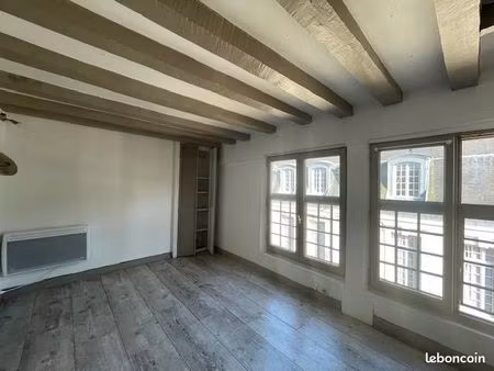 appartement t2 de 52m2 - rue de la monnaie