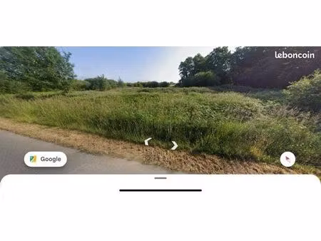 terrain pour animaux