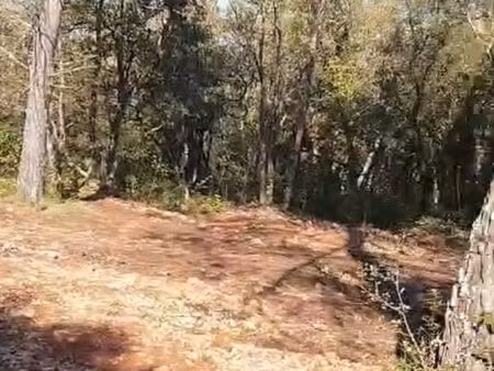 à vendre terrain constructible 7807 m2