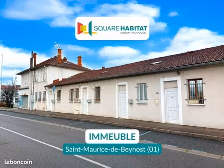 immeuble 507 m² saint maurice de beynost