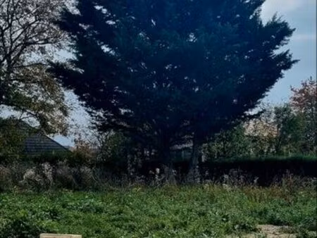 terrain plat viabilisé de 536m2 à ornex rue de moens 500 000