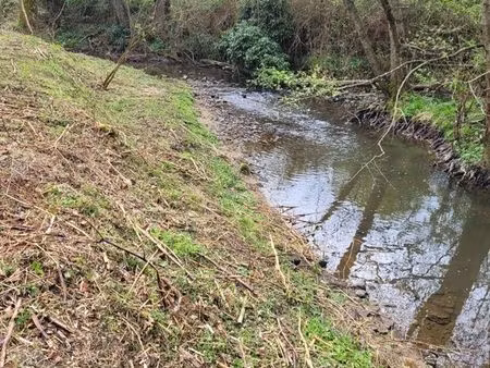 terrain de loisir boisé avec ruisseau