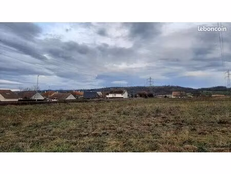 terrain 10.000 m2 à vendre à lotir