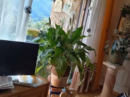 magnifique studio plus coin nuit