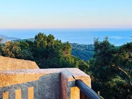 vente aux enchères le 6 mars. maison + studio independant à la croix valmer 200m2 terrain 