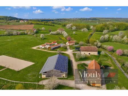 domaine d'exception sur 43h - maison contemporaine  dépendan
