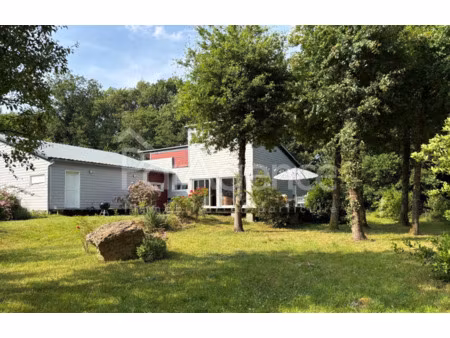 maison contemporaine vue forêt