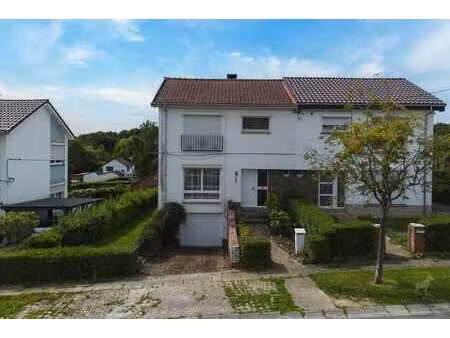 maison 3 facades a vendre sur goutroux