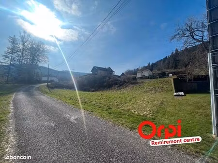 terrain 1 295 m² le syndicat