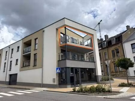 superbe appartement 2 chambres avec terrasse et parking au c