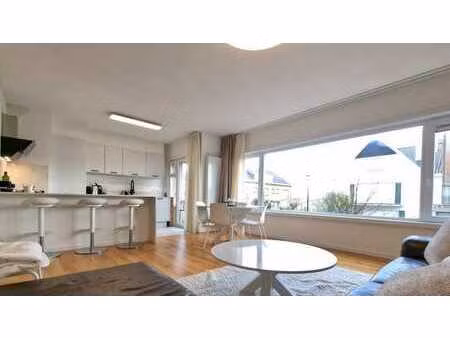 appartement trois chambres complètement rénové situé dans u