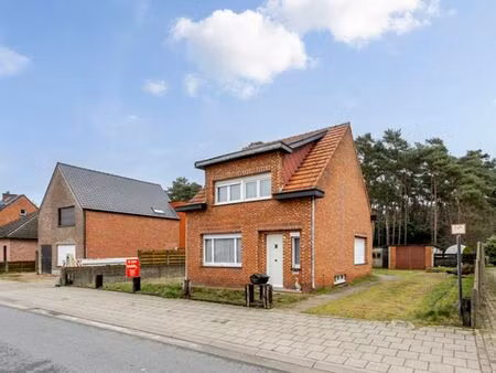 maison à vendre à kasterlee € 175.000 (lkx8x) - benijts & colson | zimmo