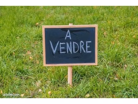 terrain constructible