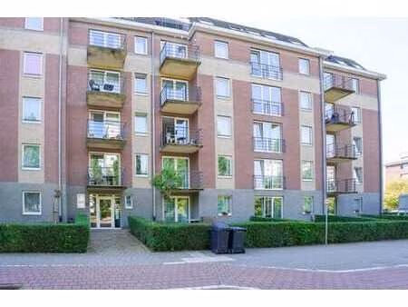 serviceflat au cœur d'evere