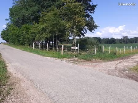 terrain agricole 2 hectares