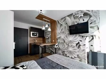 studio meublé  terrasse  jardin  jacuzzi billard ping-pong