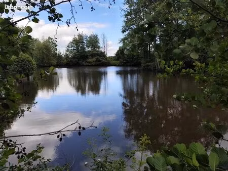 immeuble de rapport 13700 m² hannappes