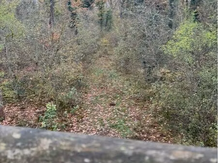 vends terrain forêt chasse