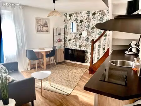 duplex meublé à 2 pas de l’école d’infirmier ifsi-ifsa