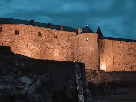 appartement idéal investisseur - vue château fort