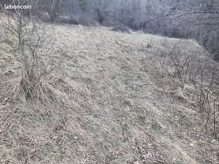 petite parcelle de 620m² perchée à 1114 m d'altitude  vue sur le mon vallier enneigé