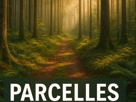 terrain 75351 m² castello di rostino