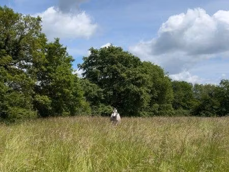 recherche prés à louer