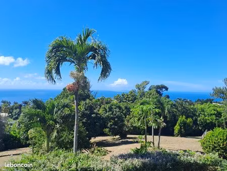 terrain a ducharmoy  saint-claude  2481m2