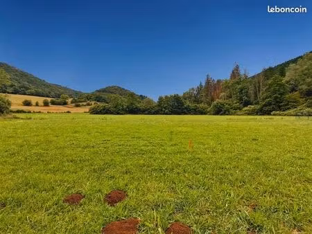 terrain constructible