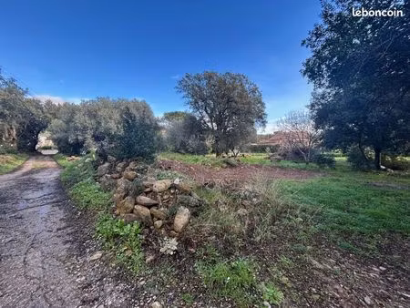 terrain 1060 m² pietracorbara