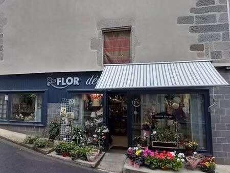 immeuble de rapport 71 m² murat