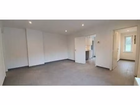 beau et spacieux appartement rénové