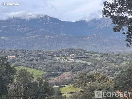 terrain 8400 m² figari