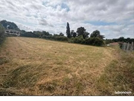 terrain constructible