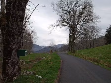 terrain boisé 3 hectares