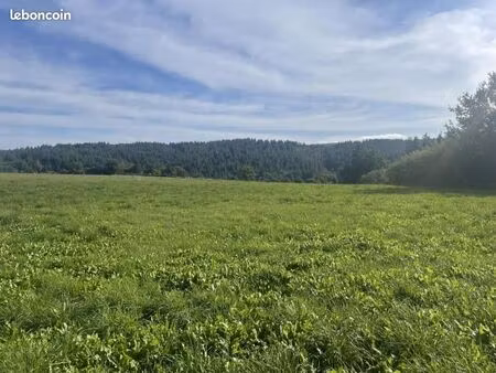 terrain 1 500 m² roannes saint mary