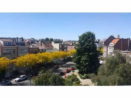 tb situation - appartement 1 chambre 55m² + cave