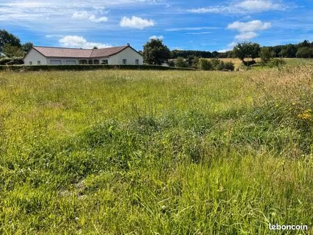 terrain 900 m² roannes saint mary