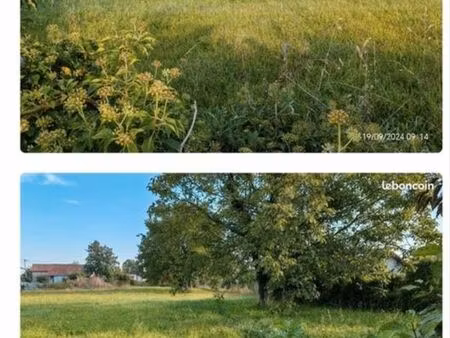 terrain constructible