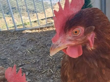 recherche terrain location