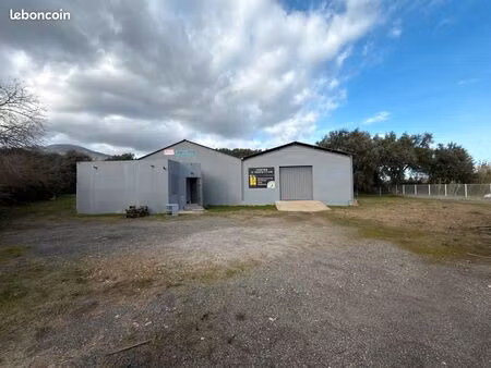 local commercial à louer - zi tragone - 372m2 + terrain 1600m2