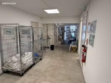 à vendre — local professionnel de 80 m² | saint-denis – la bretagne