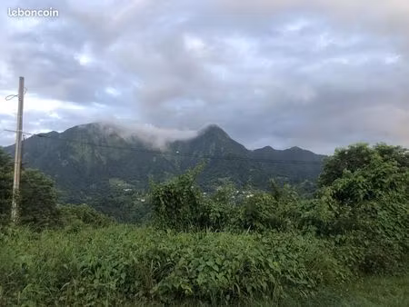 terrain 19 800 m² le morne vert